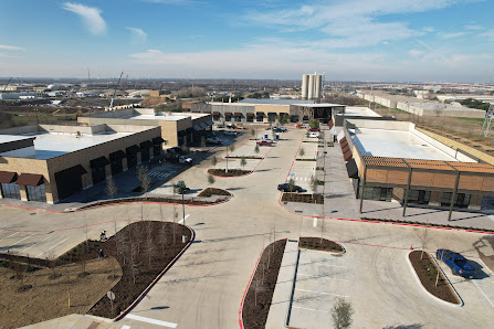 The Great Oasis photo 2