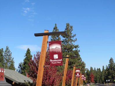 Brookswood Meadow Plaza photo 5