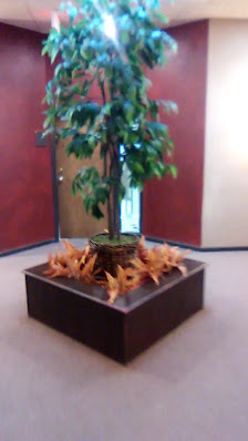 Park Place Center photo 3