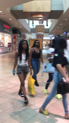 Northlake Mall photo 3