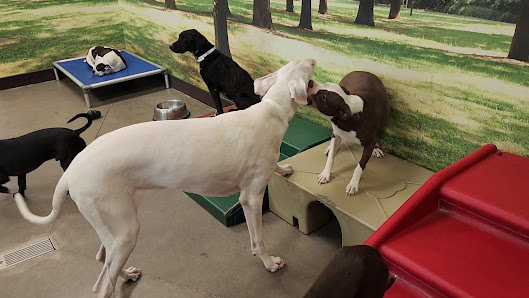 Camelback Miller Plaza photo 3