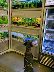 Upper Valley Plaza photo 2