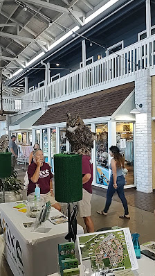 Fishermen's Village photo 3