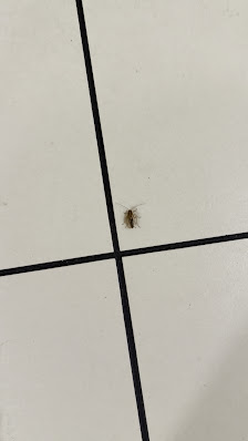 East Towne Mall photo 2