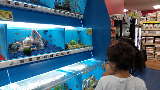 Medlock Corners photo 2