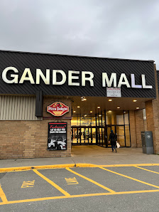 Gander Mall photo 1