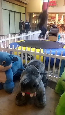 Wiregrass Commons Mall photo 3