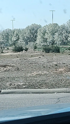 Uptown Hutch photo 3