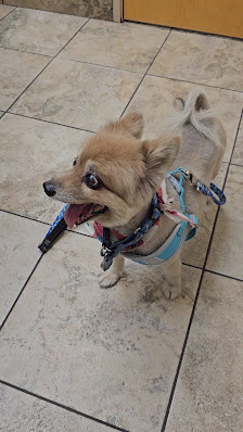 Red Mountain Promenade photo 3