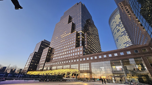 The Rink at Brookfield Place with Gregory & Petukhov photo 4