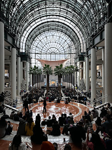 The Rink at Brookfield Place with Gregory & Petukhov photo 5