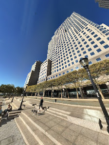 The Rink at Brookfield Place with Gregory & Petukhov photo 6