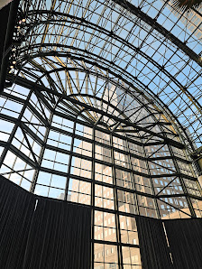 The Rink at Brookfield Place with Gregory & Petukhov photo 7