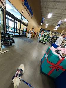 The Plaza at Cottonwood photo 4