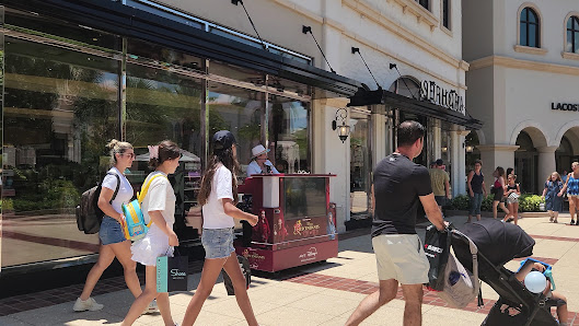 Town Center at Boca Raton photo 3