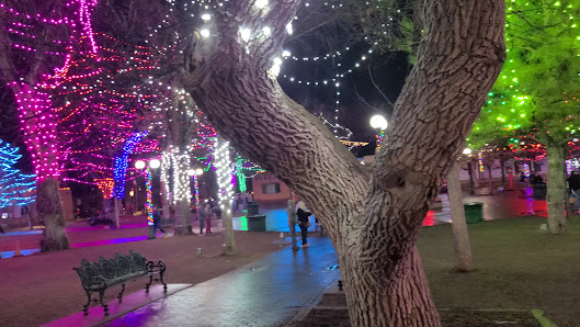 Plaza Santa Fe photo 3