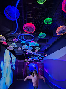 Newport on the Levee photo 2