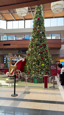 Haywood Mall photo 3