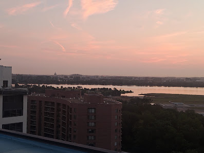 Crystal City Shops photo 3