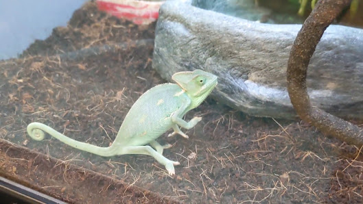 Cottonwood Commons photo 3