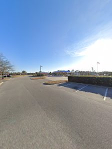 Arcadian Shores Commons photo 2