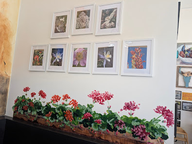 San Isidro Plaza photo 2