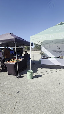 Lakeline Mall photo 2