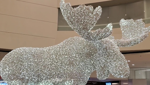 CF Sherway Gardens photo 3