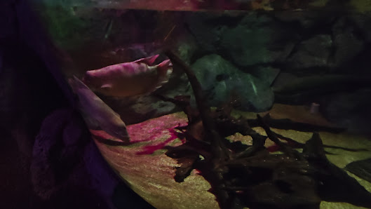 Grapevine Mills photo 2