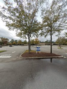 Palmetto Pavilion photo 5