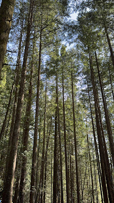 ValleyFair Mall photo 2