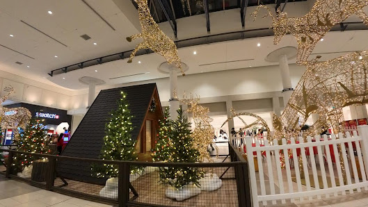 CF Chinook Centre photo 1