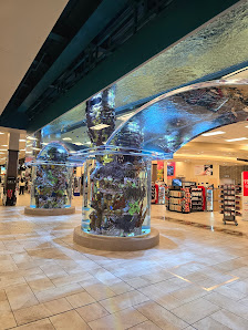 Woodland Hills Mall photo 1