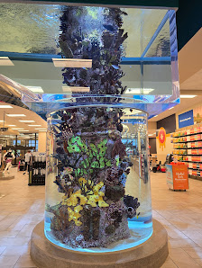 Woodland Hills Mall photo 2