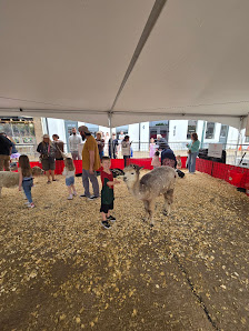 Historic Downtown McKinney photo 2