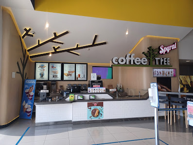 Plaza Monumental photo 6