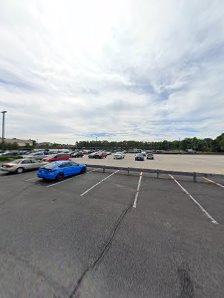 Festival At Pasadena photo 5