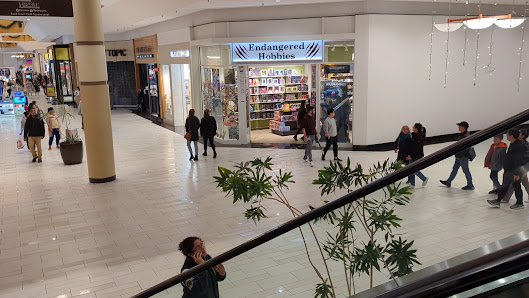Holyoke Mall photo 3