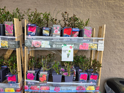 Mill Station photo 2