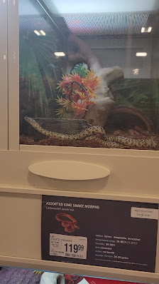 Capital Plaza photo 3