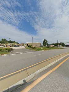 Bedford Grove photo 6