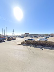 Grant Park Festival photo 4