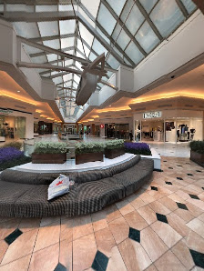 Somerset Collection photo 5