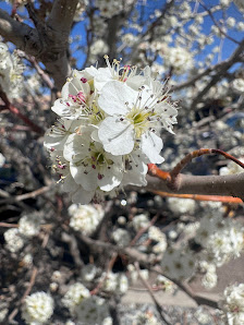 Sunrise Center photo 2