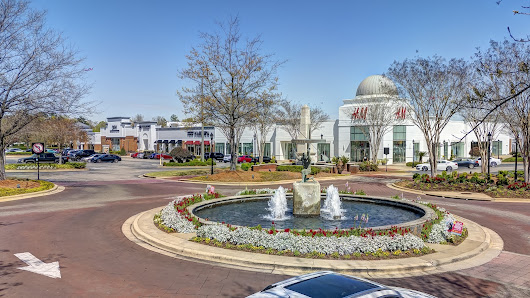 The Shoppes at Eastchase photo 6