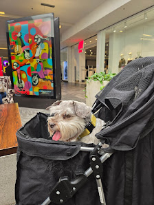 Rimrock Mall photo 2