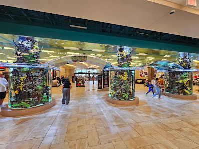 Central Mall photo 1