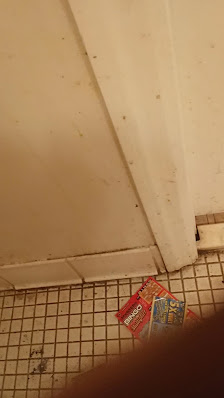 south slappey village photo 3