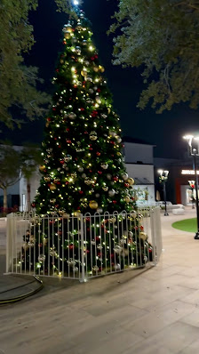 Winter Park Village photo 3