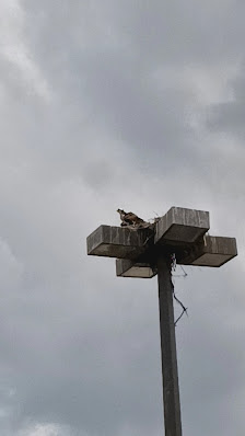 The Cove Shopping Center photo 3